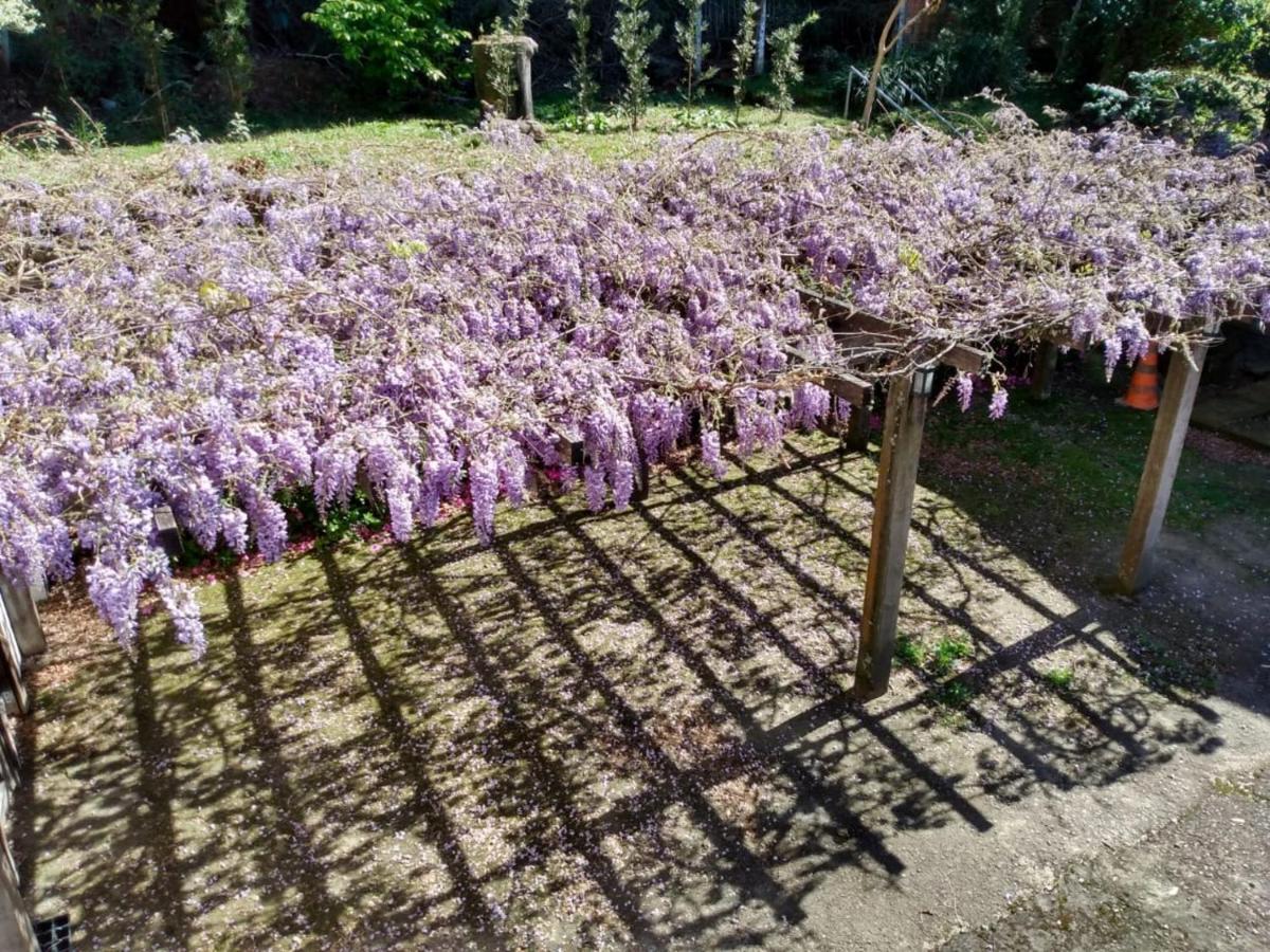 Apartamentos Aromas De Gramado - Bairro Centro Eksteriør bilde
